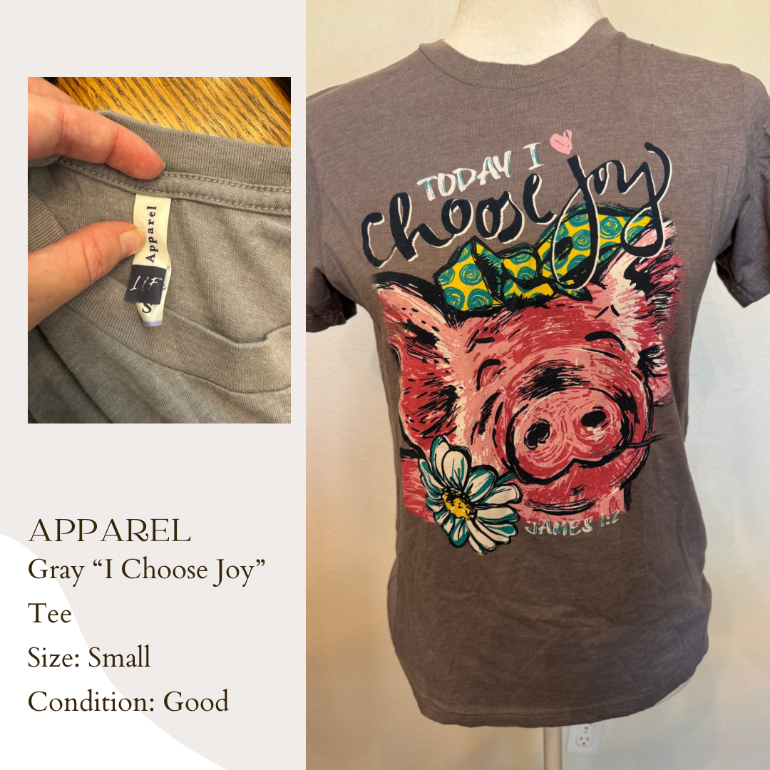 Apparel Gray “I Choose Joy” Tee