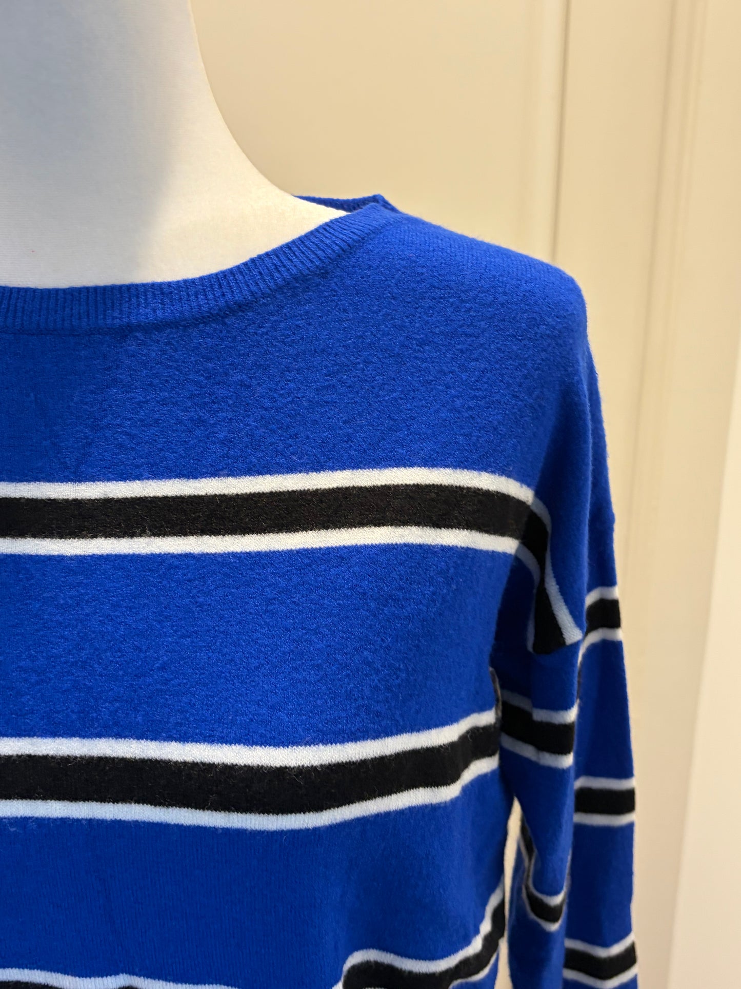 Express Blue and Black Stripe Sweater