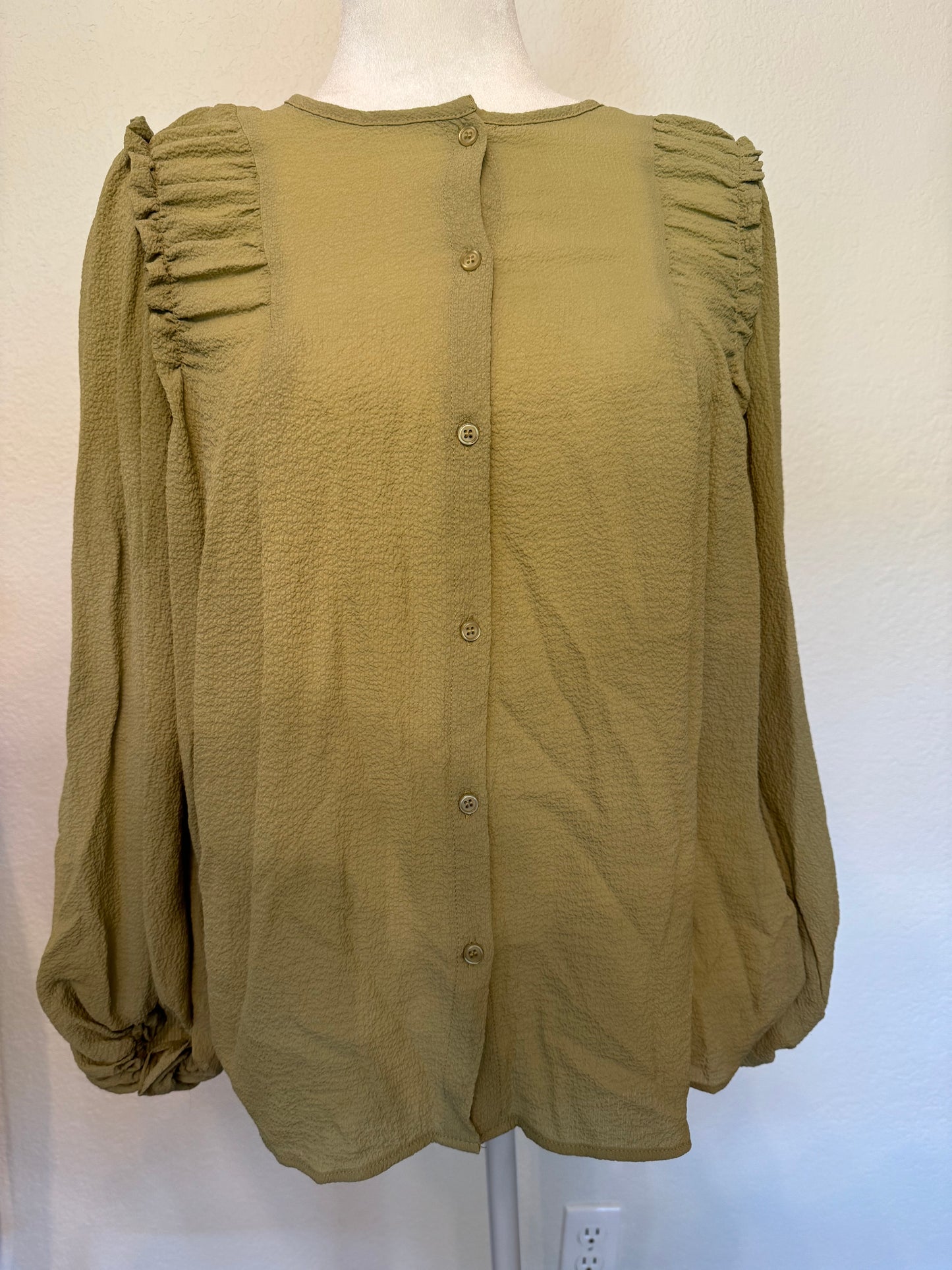 Max Studio Sage Green Top