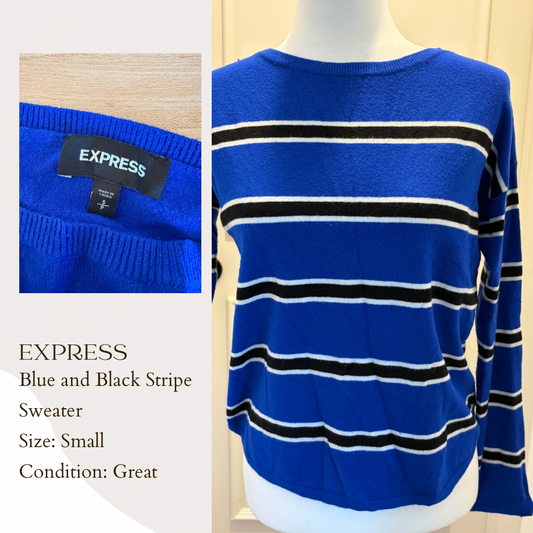 Express Blue and Black Stripe Sweater
