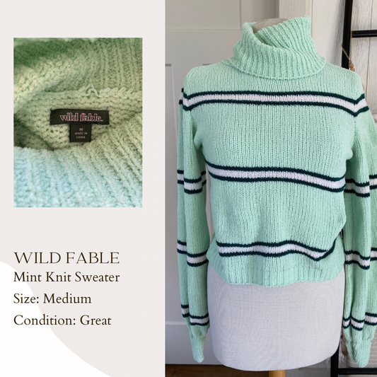 Wild Fable Mint Knit Sweater