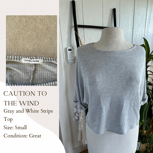 Caution to the Wind Gray and White Stripe Top